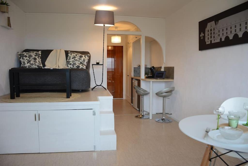 Appartement Avec Vue Montrichard Luaran gambar